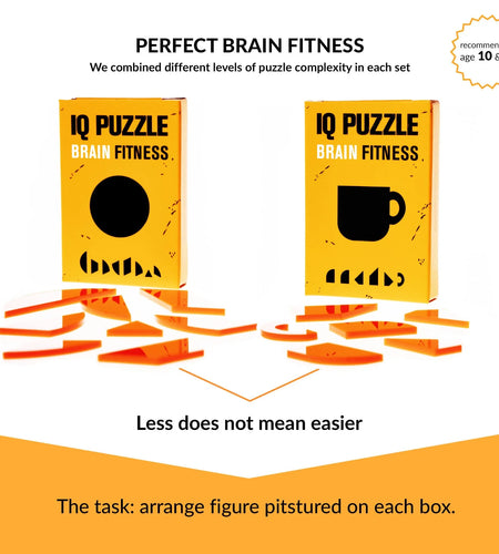 SET of 3  IQ Puzzle Brain Fitness Games Brain Teaser Puzzles for Adults and Kid Puzzle Mind Puzzles Brain Games